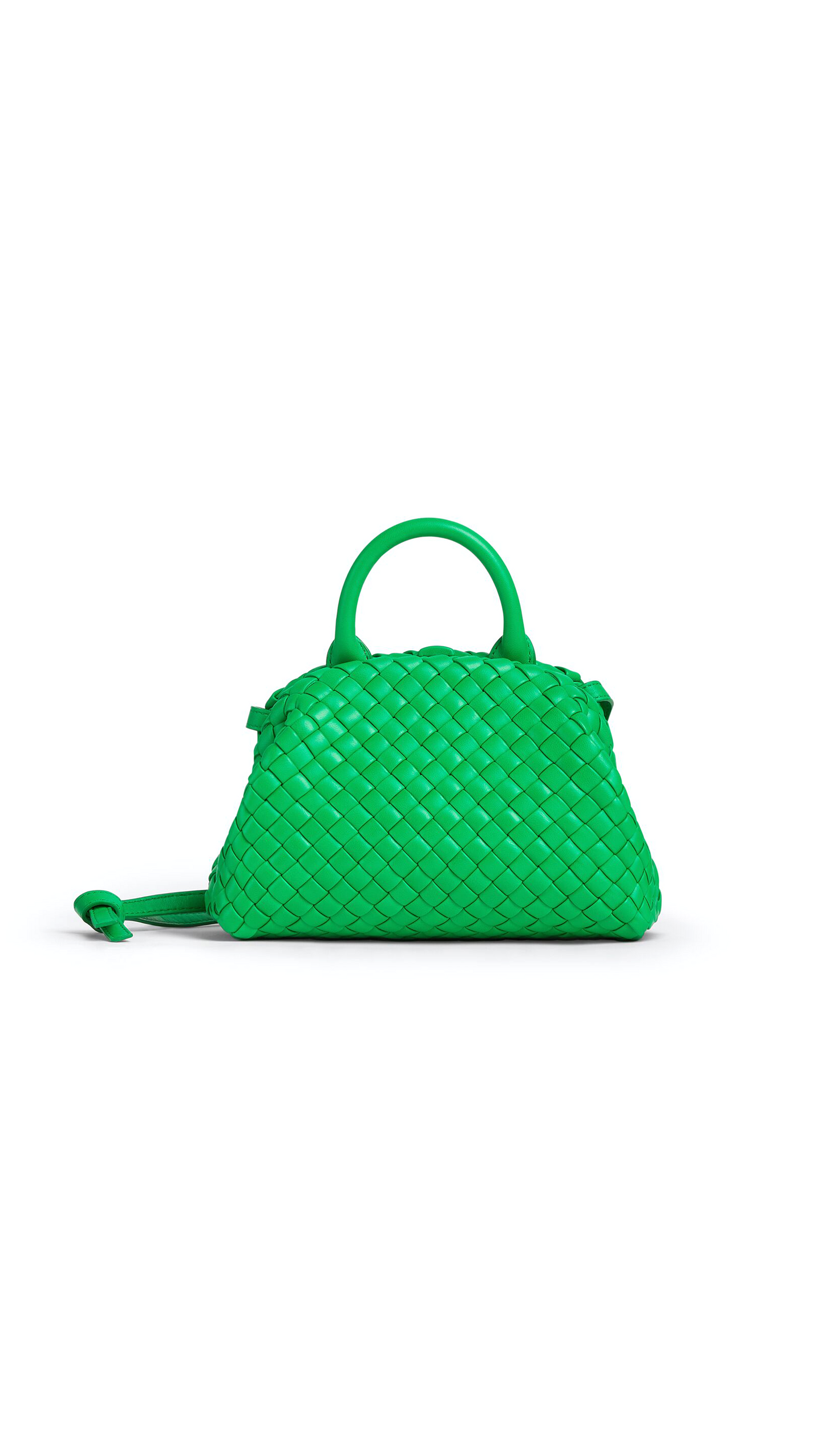 Mini Handle Bag - Parakeet