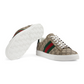 Ace Sneakers with Web - Beige/Ebony