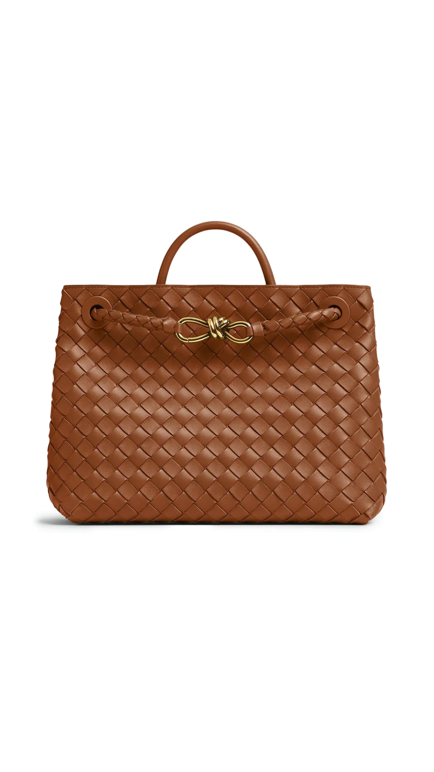 Medium Andiamo Bag - Brown