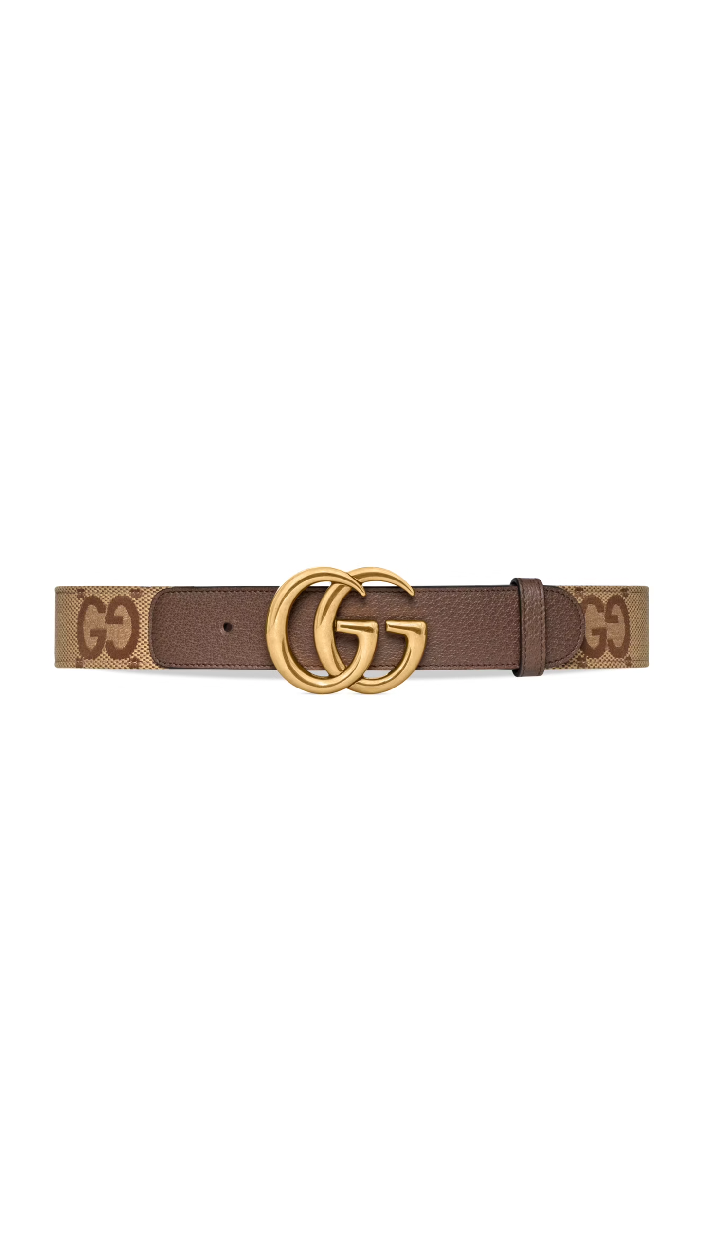 Jumbo GG Maront Wide Belt - Camel/Ebony