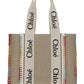Medium Woody Tote Bag - Multi