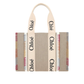 Medium Woody Tote Bag - Multi